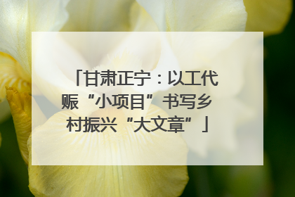 甘肃正宁：以工代赈“小项目”书写乡村振兴“大文章”