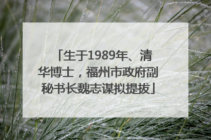 生于1989年、清华博士，福州市政府副秘书长魏志谋拟提拔