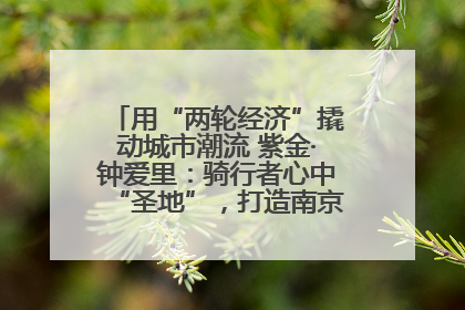用“两轮经济”撬动城市潮流 紫金·钟爱里：骑行者心中“圣地”，打造南京的“阿那亚”