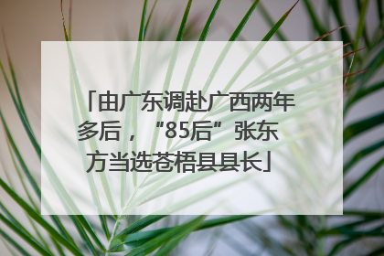 由广东调赴广西两年多后，“85后”张东方当选苍梧县县长