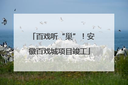 百戏听“巢”！安徽百戏城项目竣工