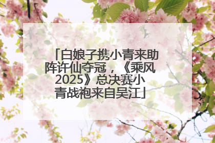 白娘子携小青来助阵许仙夺冠，《乘风2025》总决赛小青战袍来自吴江