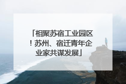 相聚苏宿工业园区！苏州、宿迁青年企业家共谋发展