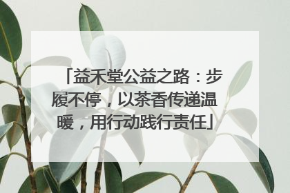 益禾堂公益之路：步履不停，以茶香传递温暖，用行动践行责任
