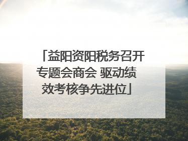 益阳资阳税务召开专题会商会 驱动绩效考核争先进位