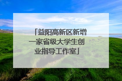 益阳高新区新增一家省级大学生创业指导工作室