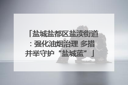 盐城盐都区盐渎街道：强化油烟治理 多措并举守护“盐城蓝”