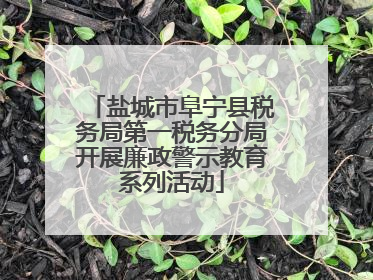 盐城市阜宁县税务局第一税务分局开展廉政警示教育系列活动