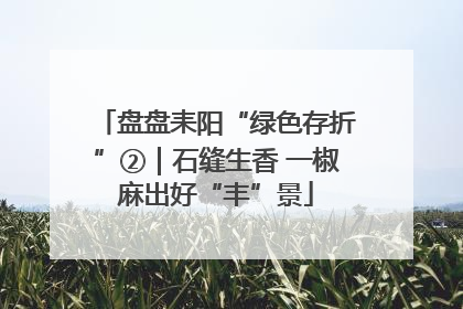 盘盘耒阳“绿色存折”②｜石缝生香 一椒麻出好“丰”景