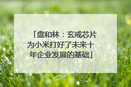 盘和林：玄戒芯片为小米打好了未来十年企业发展的基础