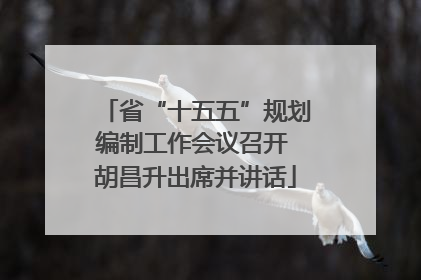 省“十五五”规划编制工作会议召开 胡昌升出席并讲话