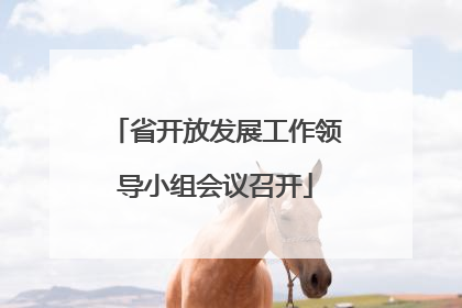 省开放发展工作领导小组会议召开
