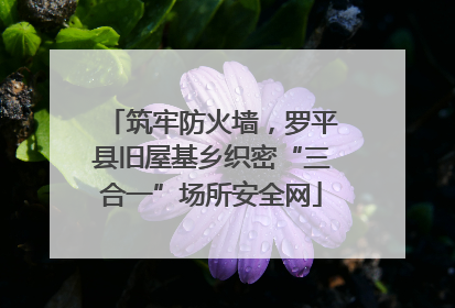 筑牢防火墙，罗平县旧屋基乡织密“三合一”场所安全网