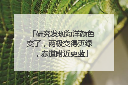 研究发现海洋颜色变了，两极变得更绿，赤道附近更蓝