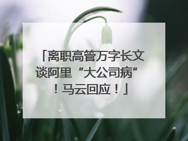 离职高管万字长文谈阿里“大公司病”！马云回应！