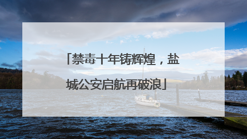 禁毒十年铸辉煌，盐城公安启航再破浪