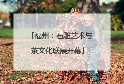 福州：石雕艺术与茶文化联展开幕