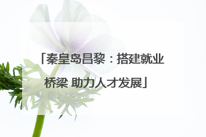 秦皇岛昌黎：搭建就业桥梁 助力人才发展