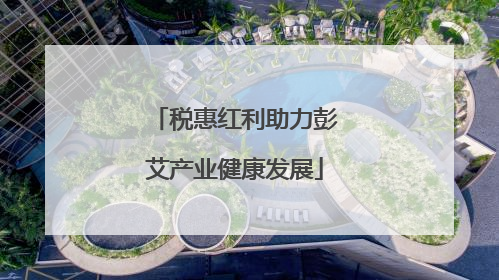 税惠红利助力彭艾产业健康发展