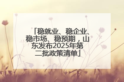 稳就业、稳企业、稳市场、稳预期，山东发布2025年第二批政策清单