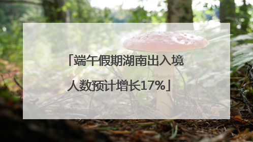 端午假期湖南出入境人数预计增长17%
