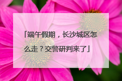 端午假期，长沙城区怎么走？交警研判来了