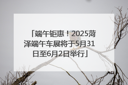 端午钜惠！2025菏泽端午车展将于5月31日至6月2日举行