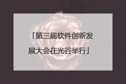 第三届软件创新发展大会在光谷举行