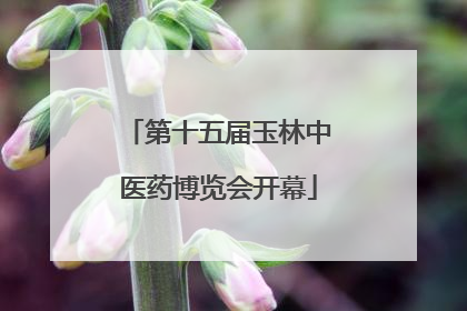 第十五届玉林中医药博览会开幕
