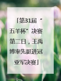 第31届“五羊杯”决赛第二日，王禹博率先挺进冠亚军决赛