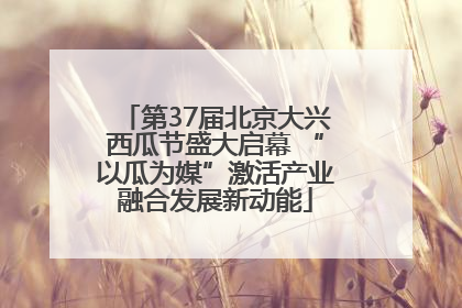 第37届北京大兴西瓜节盛大启幕 “以瓜为媒”激活产业融合发展新动能