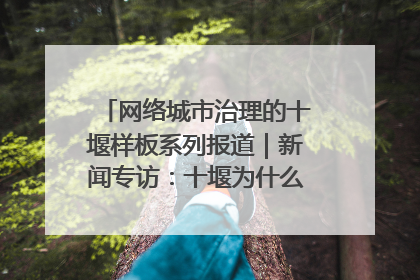 网络城市治理的十堰样板系列报道｜新闻专访：十堰为什么成为“黑马型”城市治理网络维度典型