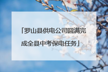罗山县供电公司圆满完成全县中考保电任务