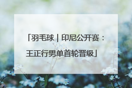 羽毛球｜印尼公开赛：王正行男单首轮晋级