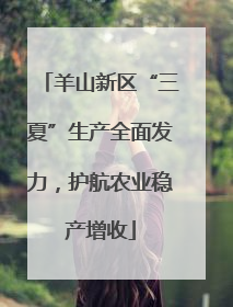 羊山新区“三夏”生产全面发力，护航农业稳产增收
