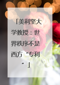 美利坚大学教授：世界秩序不是西方“专利”