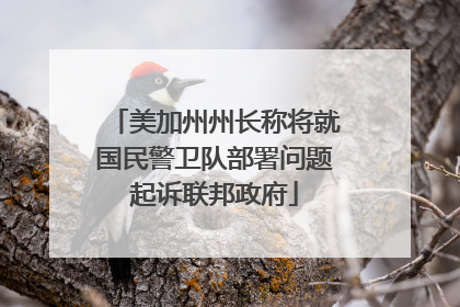美加州州长称将就国民警卫队部署问题起诉联邦政府