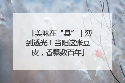 美味在“县”｜薄到透光！当阳这张豆皮，香飘数百年