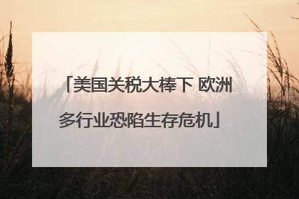 美国关税大棒下 欧洲多行业恐陷生存危机