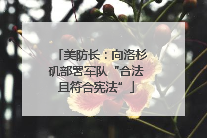 美防长：向洛杉矶部署军队“合法且符合宪法”