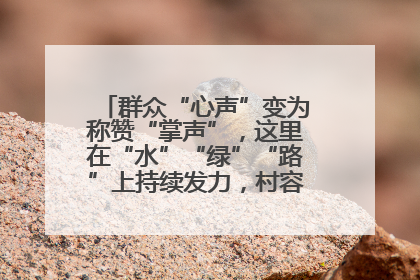 群众“心声”变为称赞“掌声”，这里在“水”“绿”“路”上持续发力，村容村貌焕然一新