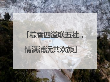 粽香四溢联五社，情满浦沅共欢颜