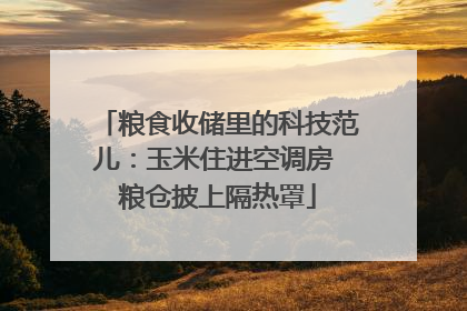 粮食收储里的科技范儿：玉米住进空调房 粮仓披上隔热罩