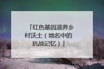 红色基因滋养乡村沃土（地名中的抗战记忆）