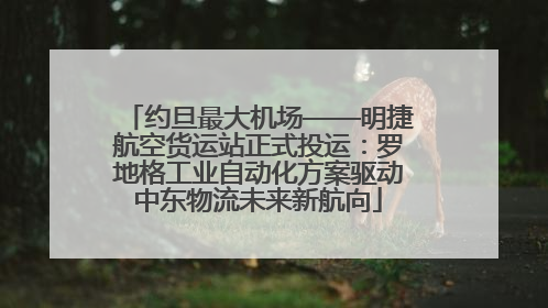约旦最大机场——明捷航空货运站正式投运：罗地格工业自动化方案驱动中东物流未来新航向