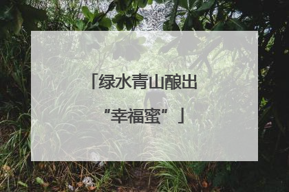 绿水青山酿出“幸福蜜”