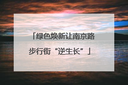 绿色焕新让南京路步行街“逆生长”