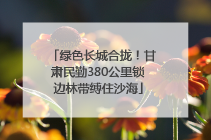 绿色长城合拢！甘肃民勤380公里锁边林带缚住沙海