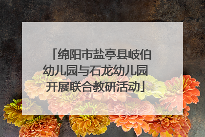 绵阳市盐亭县岐伯幼儿园与石龙幼儿园开展联合教研活动