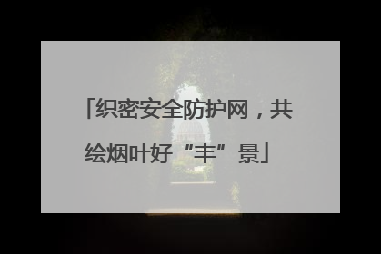 织密安全防护网，共绘烟叶好“丰”景